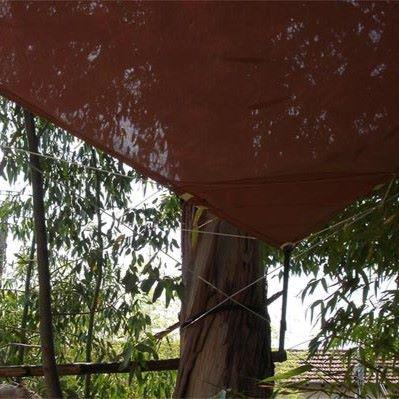 Effet de transparence