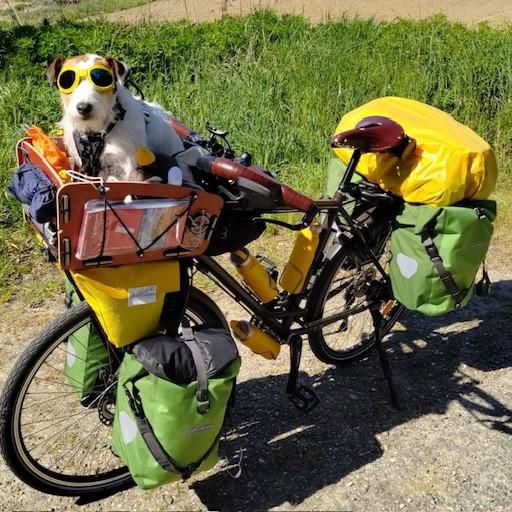Sacoche de vélo, housse à bagages, cape de pluie pour Haddock 
